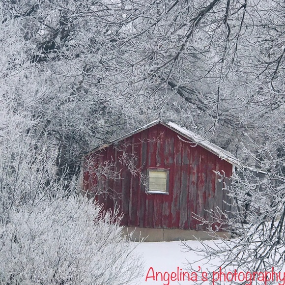 Meet your Posher, Angelina - Picture 1 of 1